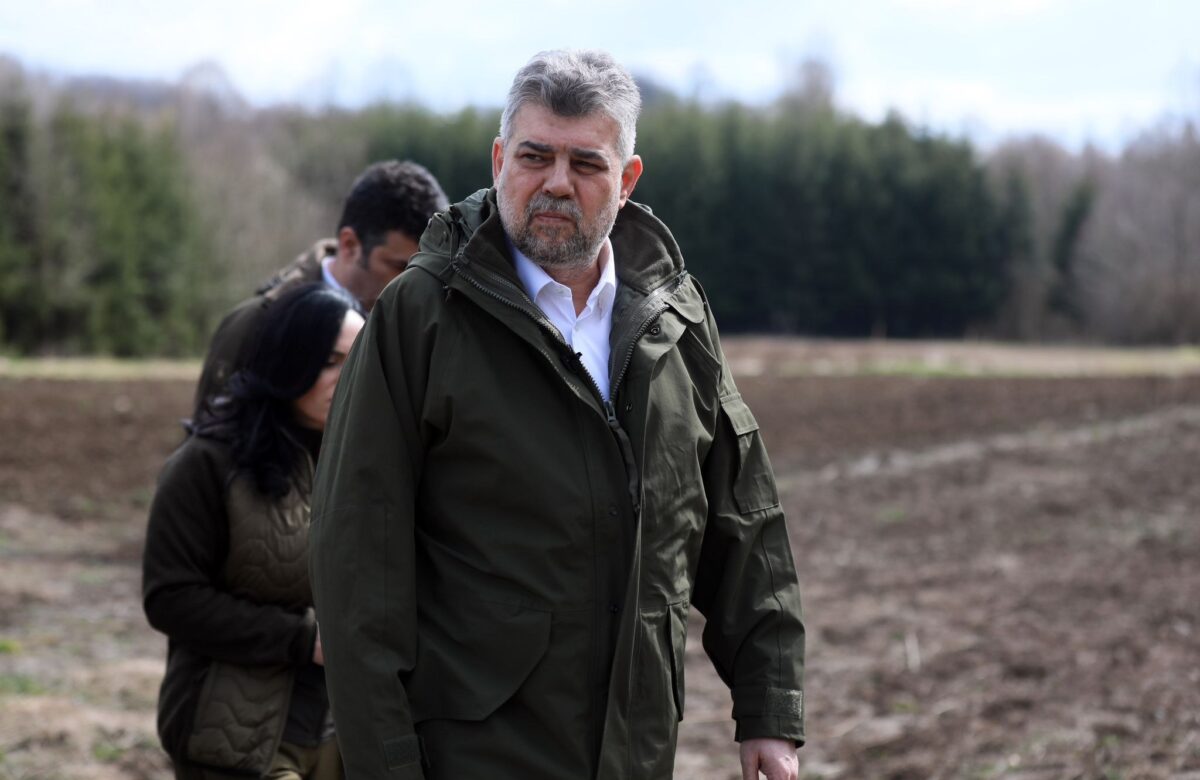 PSD vrea să puncteze electoral: proiecte pentru evidențierea produselor românești şi anti făina de insecte