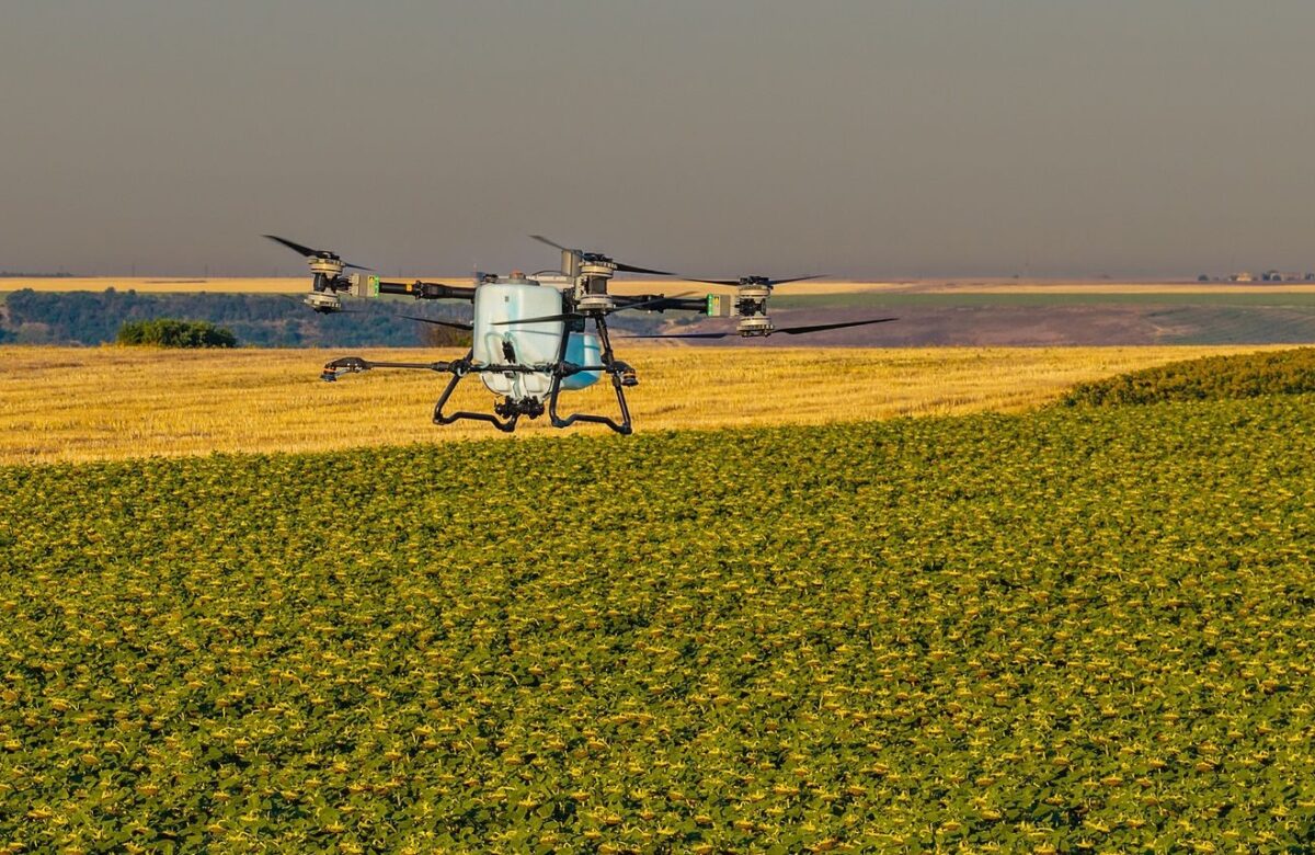 Unde nu a răsărit rapița? AEROCROP identifică zonele afectate cu ajutorul dronei